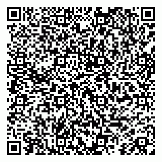 vCard 79808003013