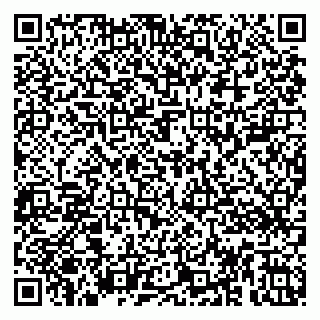 vCard 79808003073