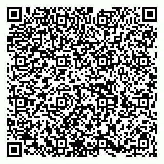 vCard 79808003127