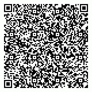 vCard 79808003131
