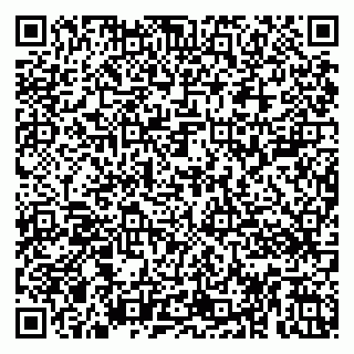 vCard 79808003132