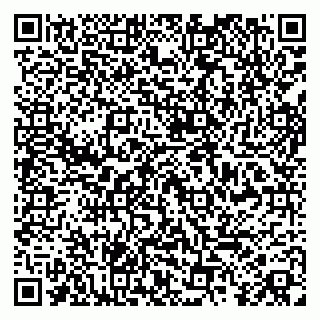vCard 79808003133