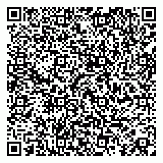 vCard 79808003137