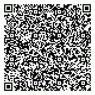 vCard 79808003138