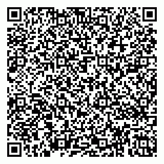 vCard 79808003141