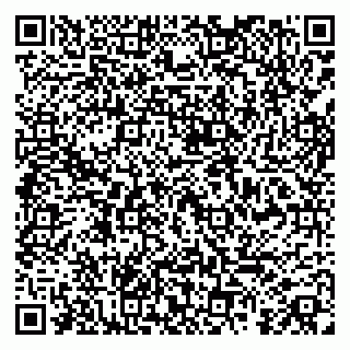 vCard 79808003151