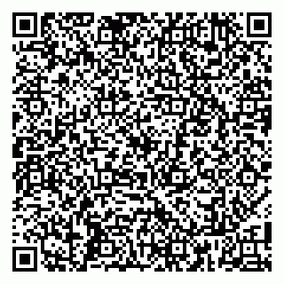 vCard 79808003811