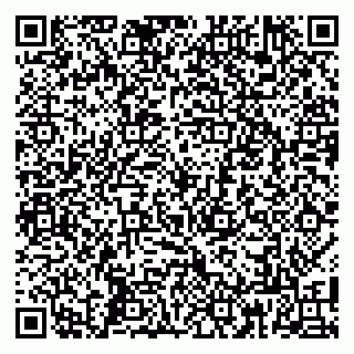 vCard 79808003873
