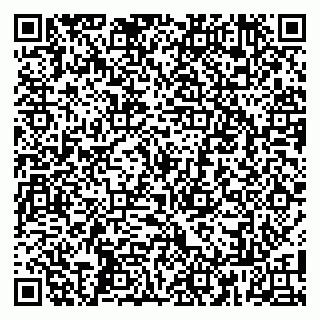 vCard 79808003911