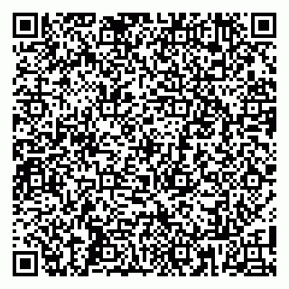 vCard 79808003931