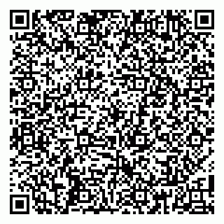 vCard 79808004021