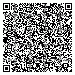 vCard 79809990273