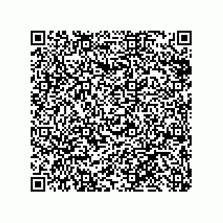 vCard 79810000011