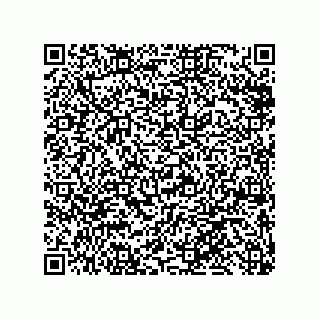 vCard 79810000031