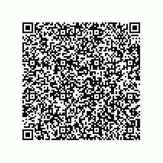 vCard 79810000131