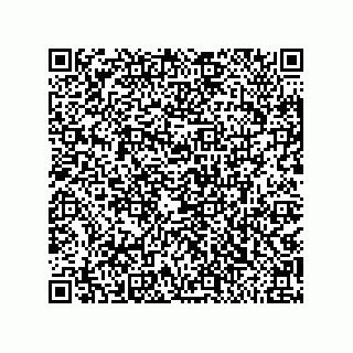 vCard 79810000132