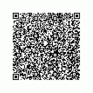 vCard 79810000137