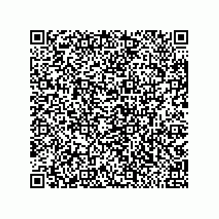vCard 79810000138