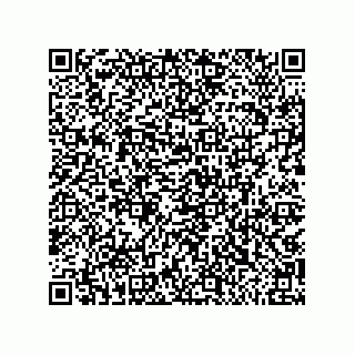 vCard 79810000161
