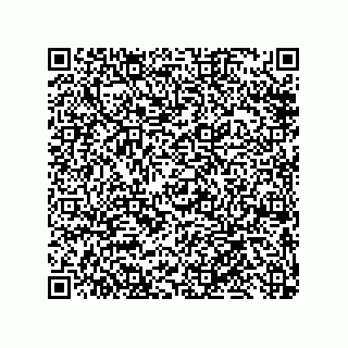 vCard 79810000163