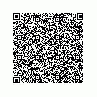 vCard 79810000203