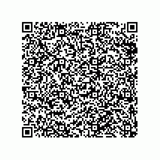 vCard 79810000213