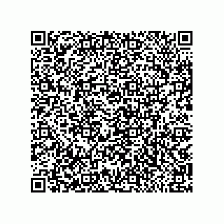 vCard 79810000217