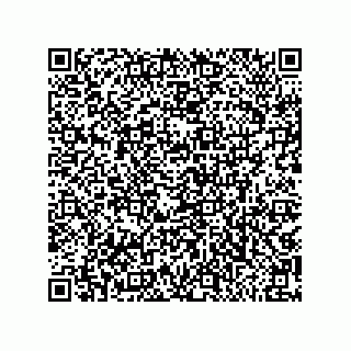 vCard 79810000253