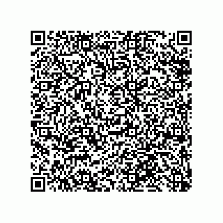 vCard 79810000270