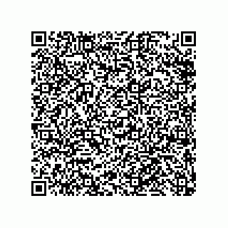 vCard 79810000273