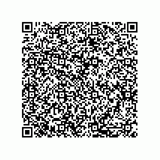 vCard 79810000274