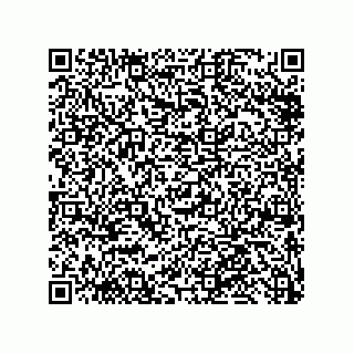 vCard 79810000296