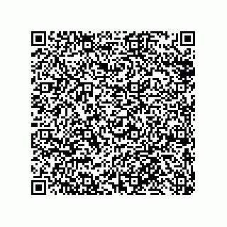 vCard 79810000301