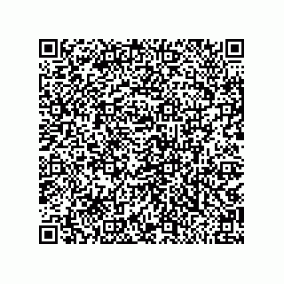 vCard 79810000311