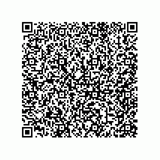 vCard 79810000317