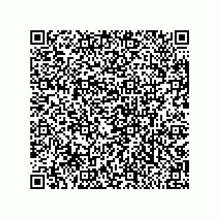 vCard 79810000331