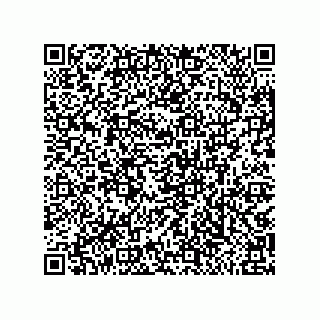 vCard 79810000336