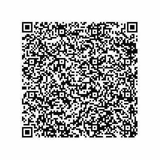 vCard 79810000339