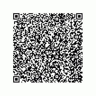 vCard 79810000370