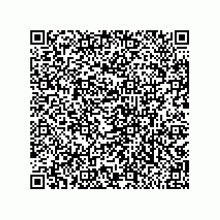 vCard 79810000379