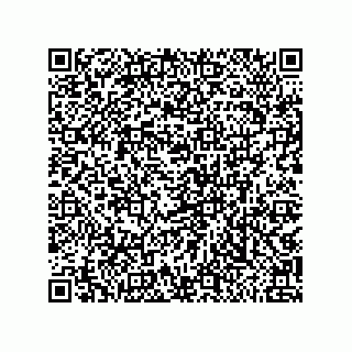 vCard 79810000380
