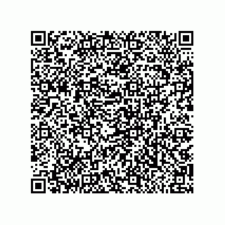 vCard 79810000381