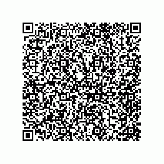 vCard 79810000395