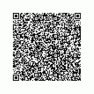 vCard 79811000138