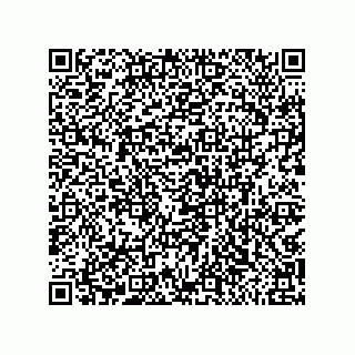 vCard 79811000196