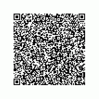 vCard 79811000207
