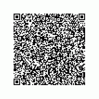 vCard 79811000231