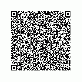vCard 79811000304