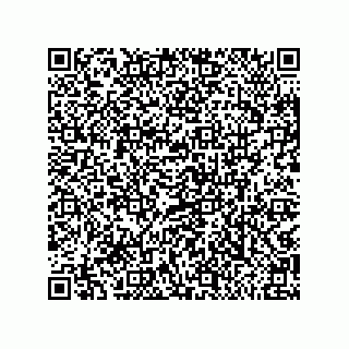 vCard 79811000331