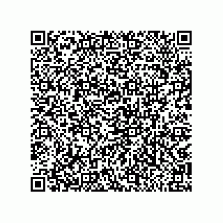vCard 79811000381